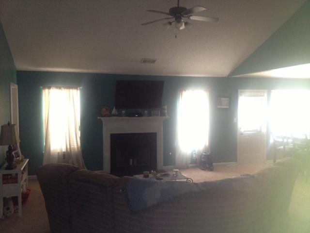 104 River View Ct, Hampton, GA 30228 photo 2