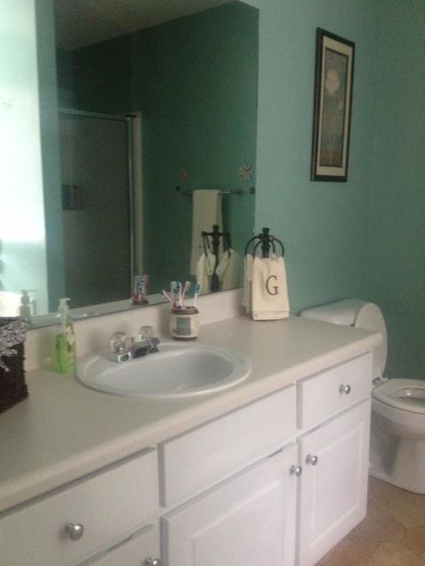 104 River View Ct, Hampton, GA 30228 photo 9