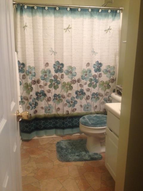 104 River View Ct, Hampton, GA 30228 photo 10