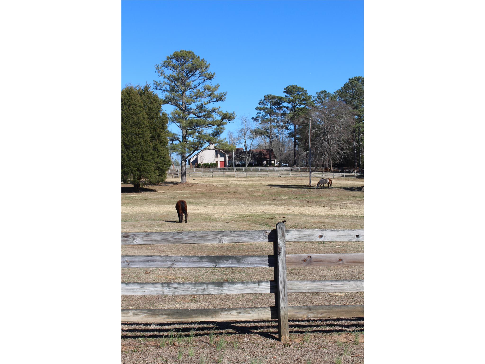 2166 Dally Trl, Covington, GA 30014 photo 9