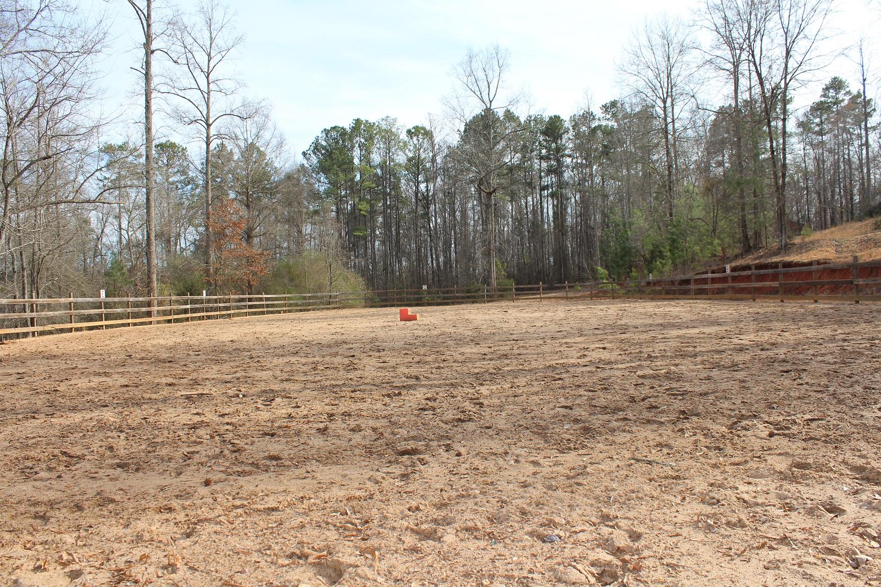2166 Dally Trl, Covington, GA 30014 photo 22