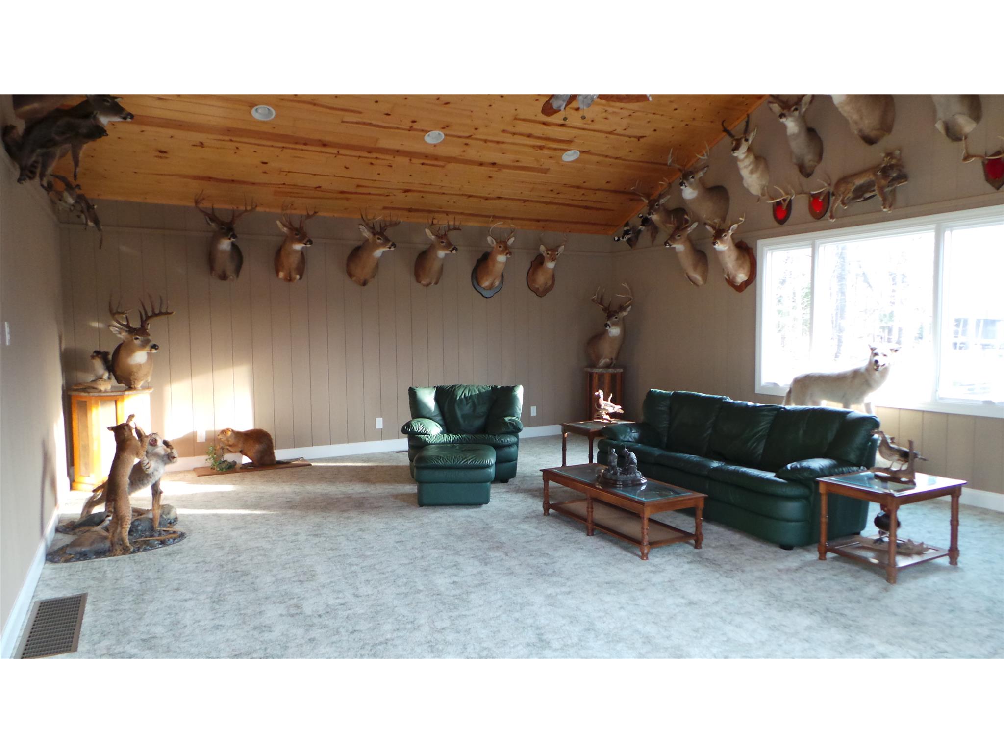 874 Bulldog Cir, Lavonia, GA 30553 photo 13