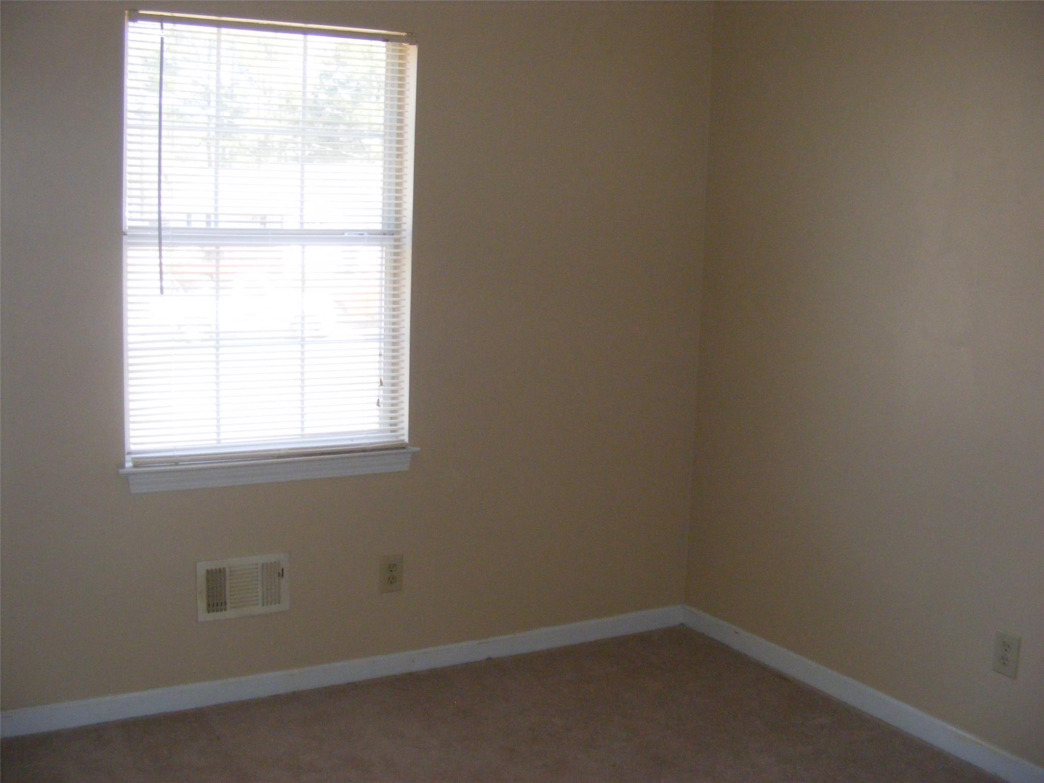 213 Lisa Ct, Hampton, GA 30228 photo 19