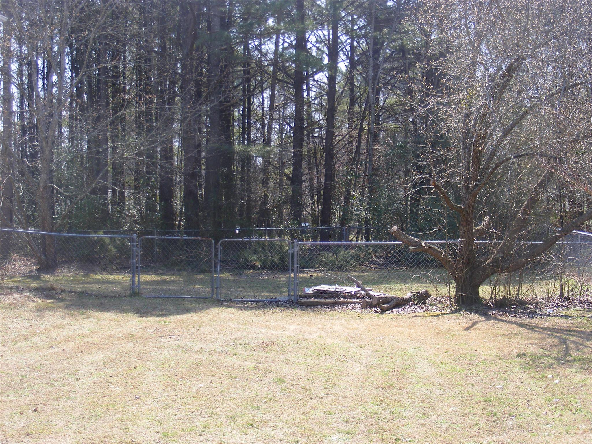 213 Lisa Ct, Hampton, GA 30228 photo 14