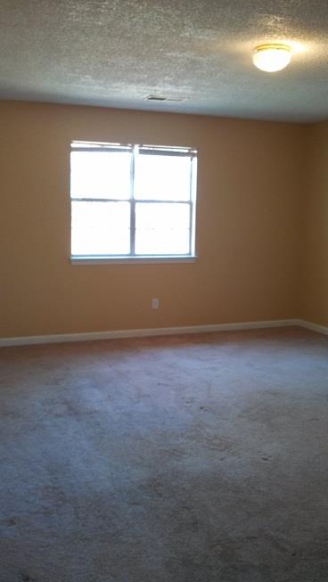 2605 Rose Commons Dr, Hampton, GA 30228 photo 7