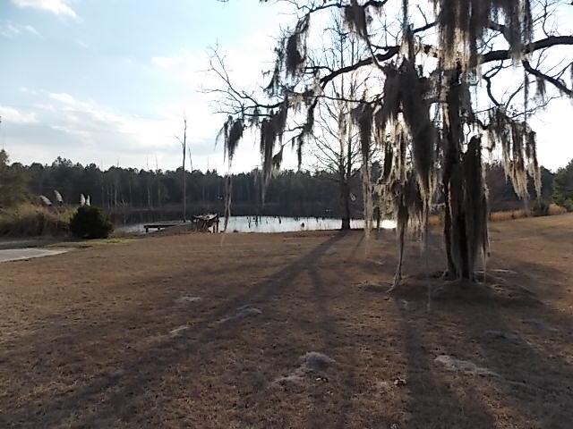 422 Stanfield Ln, Daisy, GA 30423 photo 7