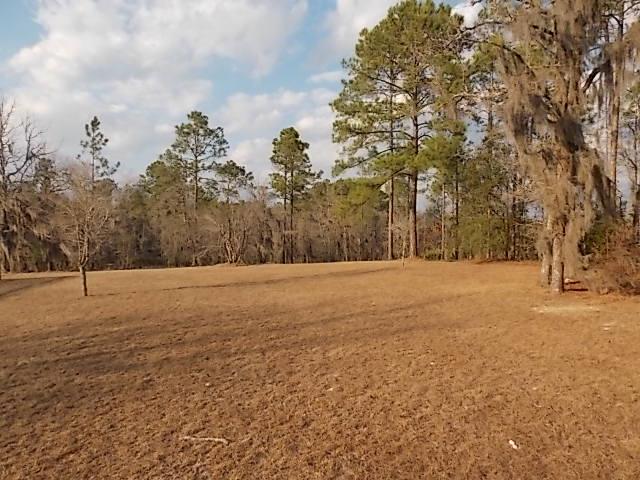 422 Stanfield Ln, Daisy, GA 30423 photo 6