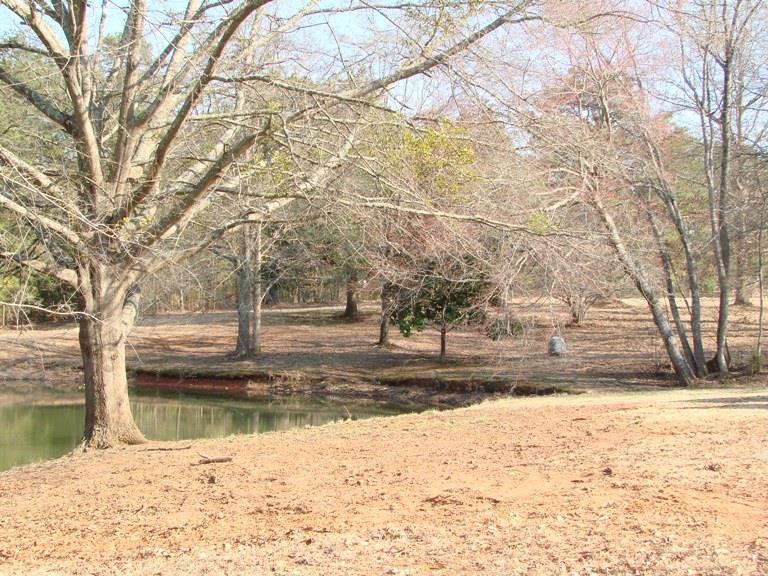 611 Durham Rd, Griffin, GA 30224 photo 7