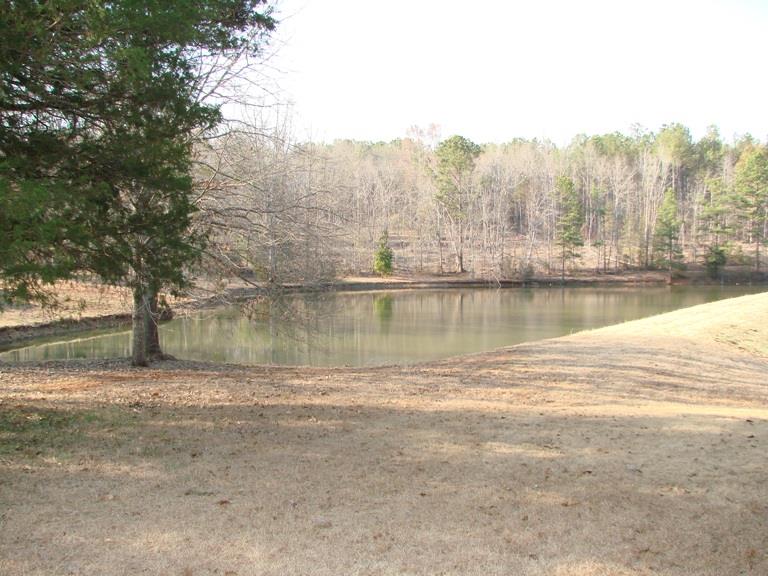611 Durham Rd, Griffin, GA 30224 photo 8
