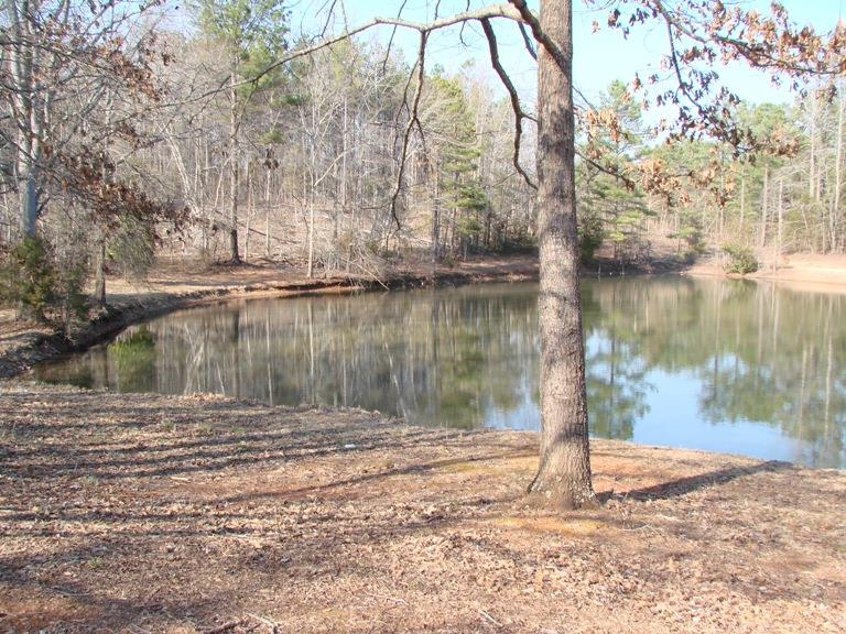 611 Durham Rd, Griffin, GA 30224 photo 6
