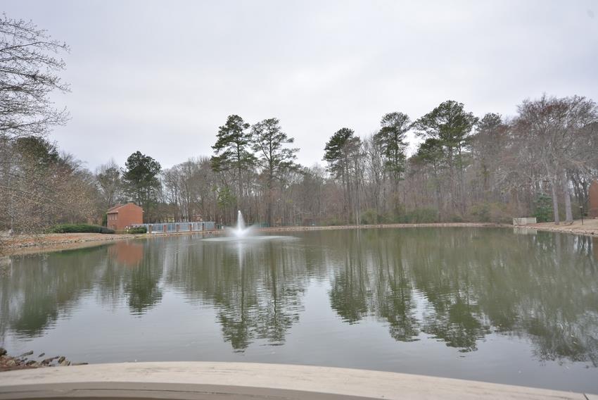 3532 Jasmine Triangle, Duluth, GA 30096 photo 14