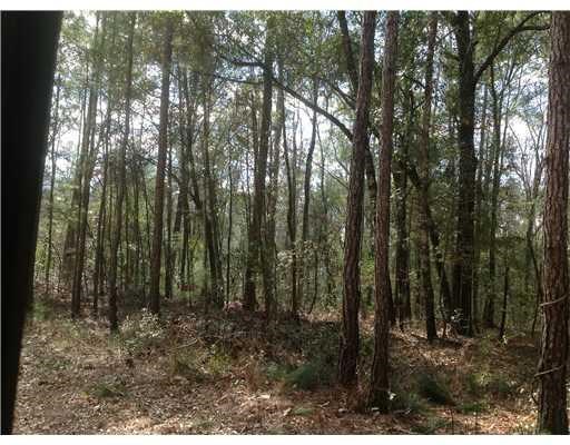 439 Reiser Rd, Springfield, GA 31329 photo 3