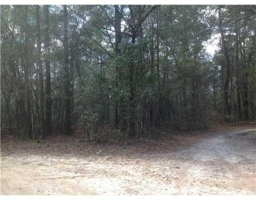 439 Reiser Rd, Springfield, GA 31329 photo 4