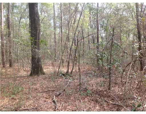 439 Reiser Rd, Springfield, GA 31329 photo 5