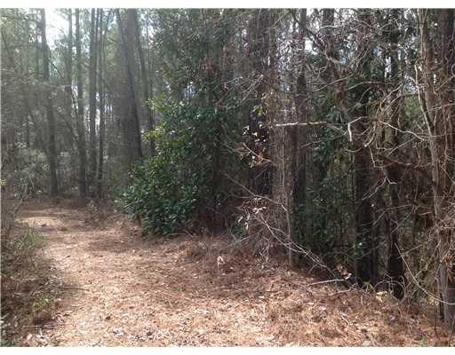 439 Reiser Rd, Springfield, GA 31329 photo 7