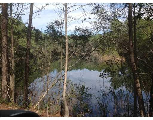 439 Reiser Rd, Springfield, GA 31329 photo 1