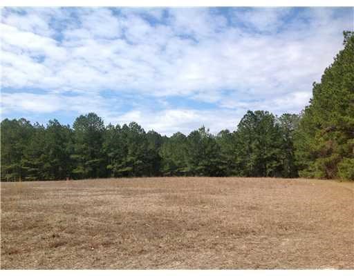 439 Reiser Rd, Springfield, GA 31329 photo 8