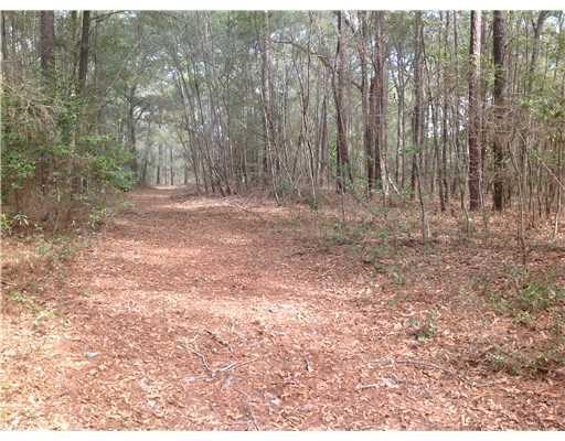 439 Reiser Rd, Springfield, GA 31329 photo 6