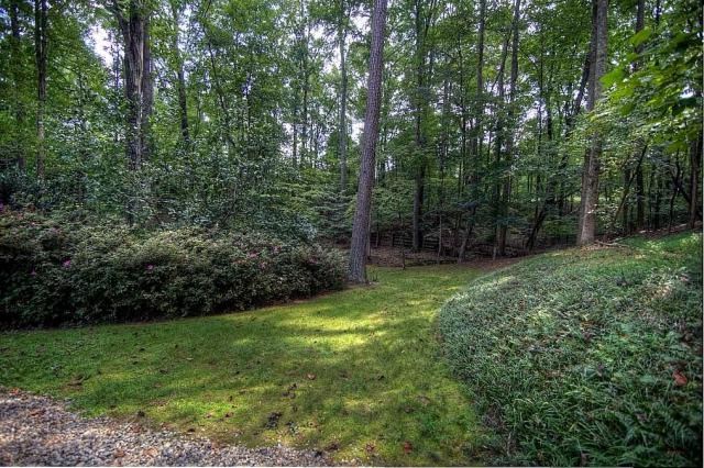 14905 E Bluff Rd, Alpharetta, GA 30004 photo 23