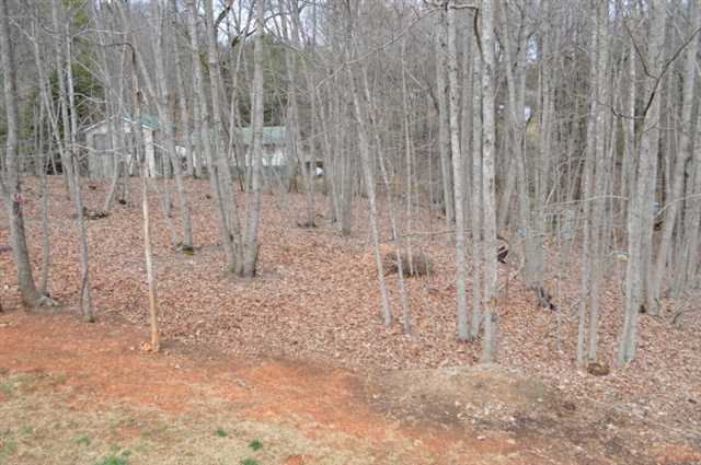 7015 Cedar Ct, Gainesville, GA 30506 photo 16