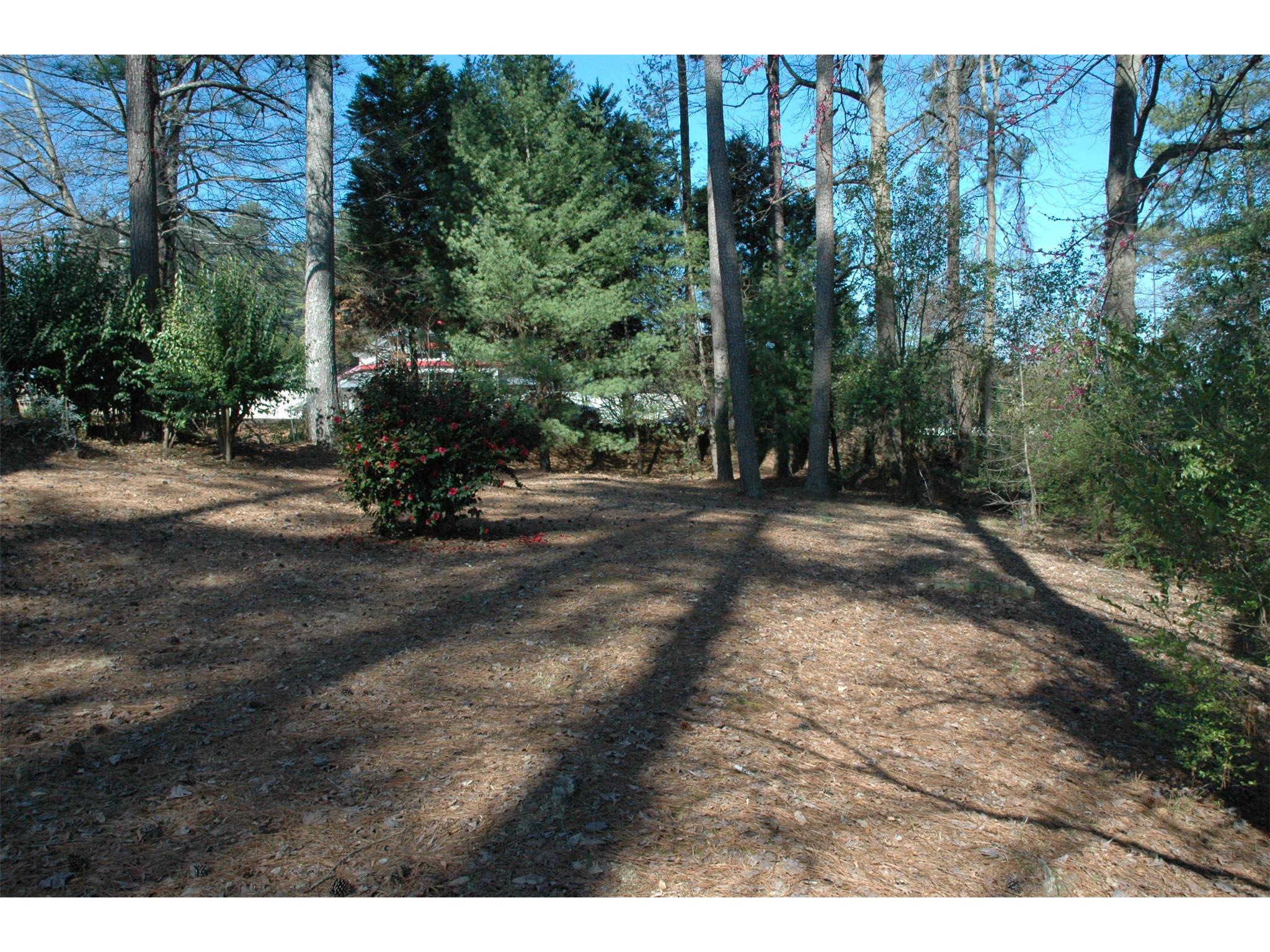 101 Mimosa Ter, Lagrange, GA 30240 photo 14
