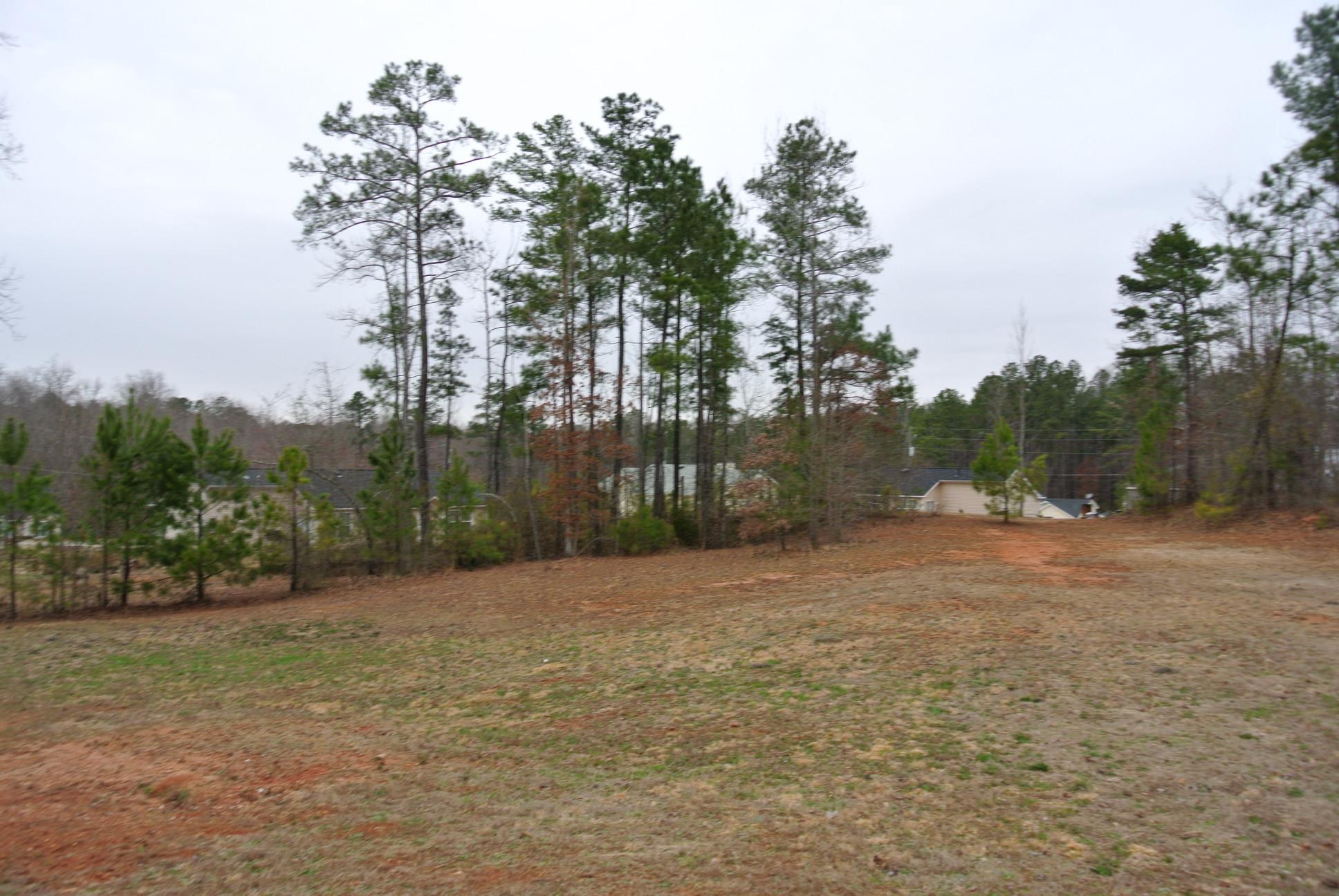 4 Ruby Ct, Grantville, GA 30220 photo 16