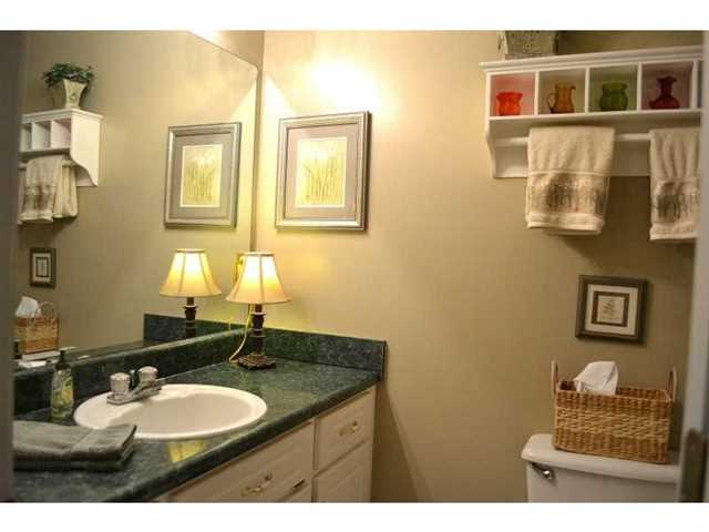 255 Riverstone Dr, Jasper, GA 30143 photo 20