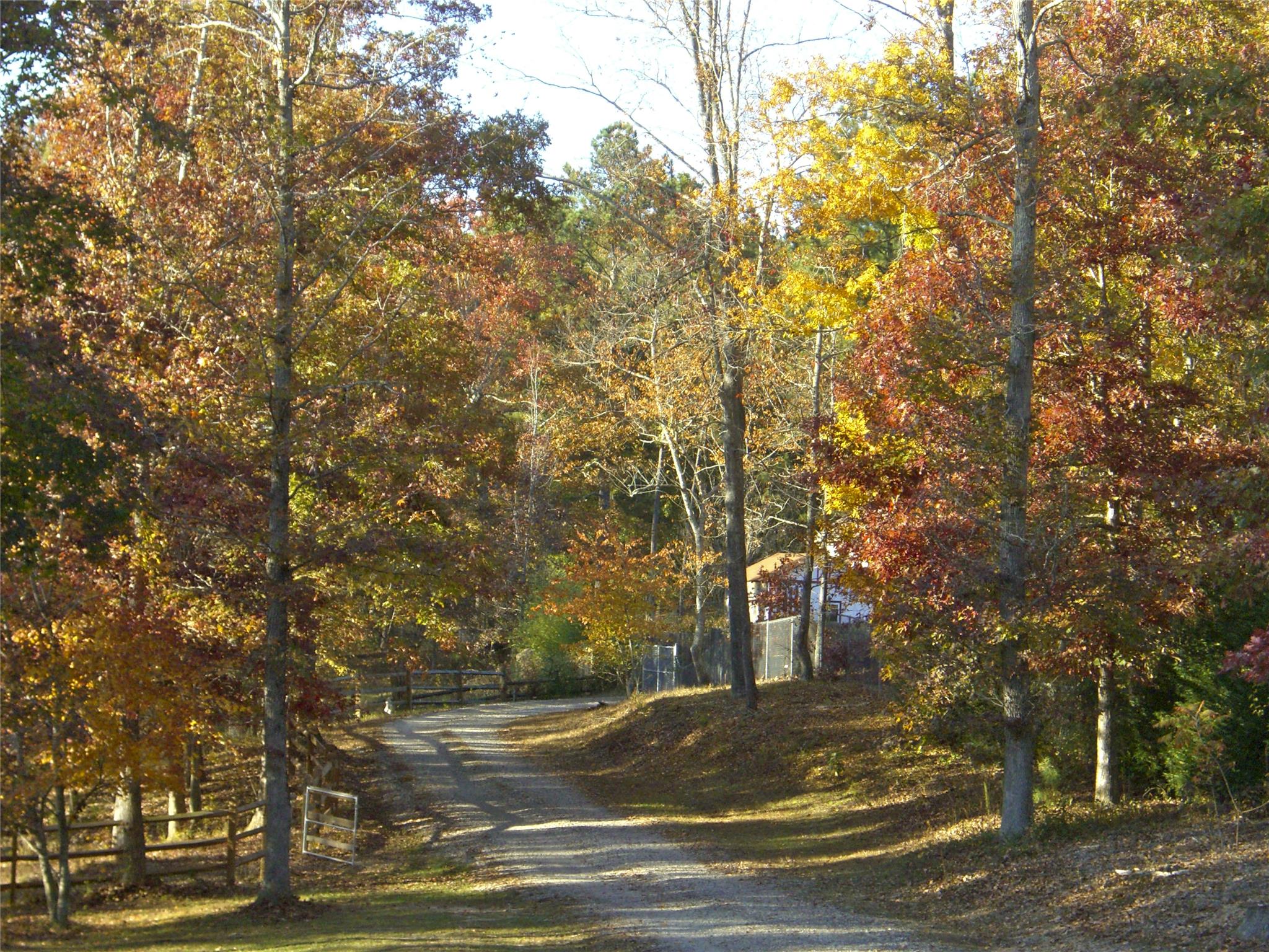 3194 Bailey Rd, Dacula, GA 30019 photo 25