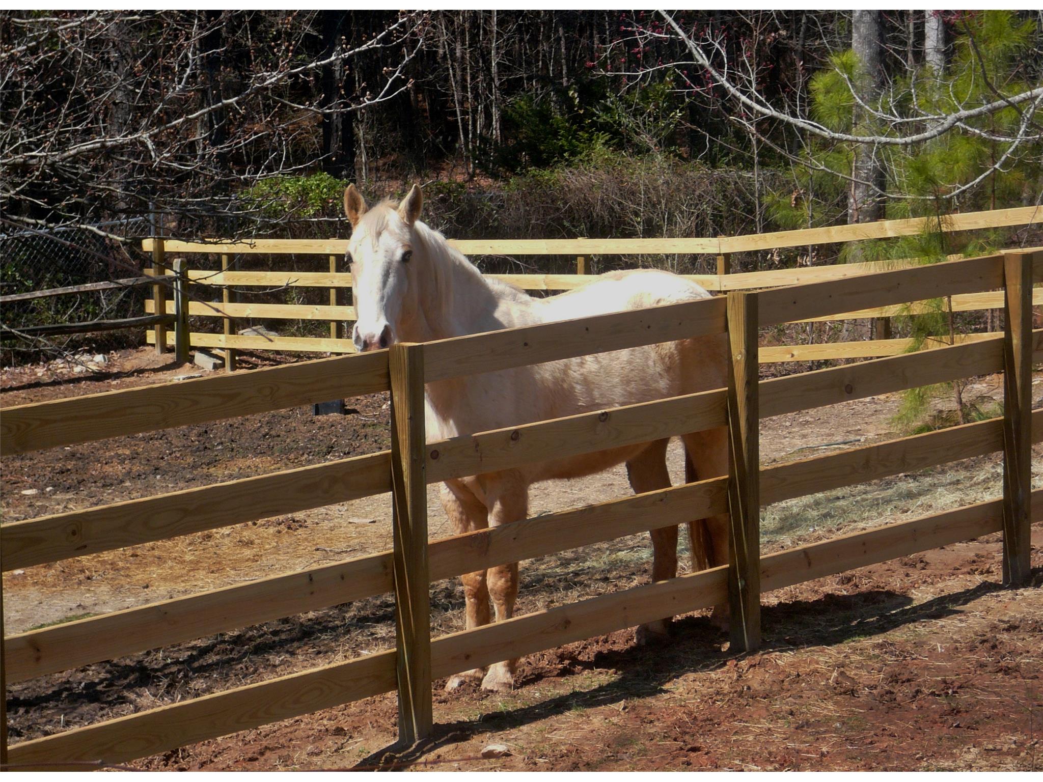 3194 Bailey Rd, Dacula, GA 30019 photo 4