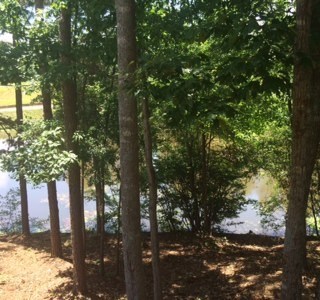 47 Daniel Creek Ln, Suwanee, GA 30024 photo 21