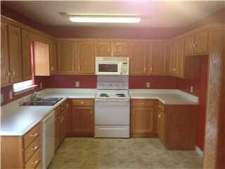 125 Elm Dr, Ringgold, GA 30736 photo 3