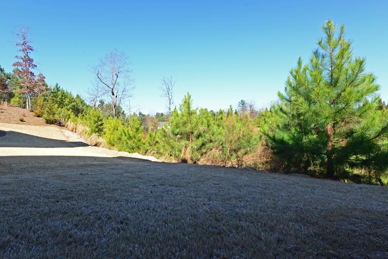 3763 Terrah Point Dr, Duluth, GA 30097 photo 21