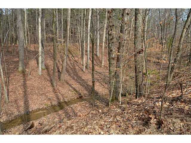1171 Bream Dr, Milton, GA 30004 photo 21