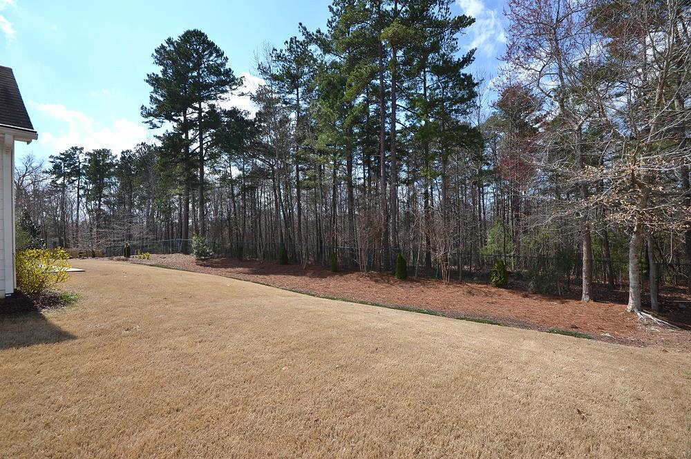 3341 Lost Meadows Ln, Buford, GA 30519 photo 21
