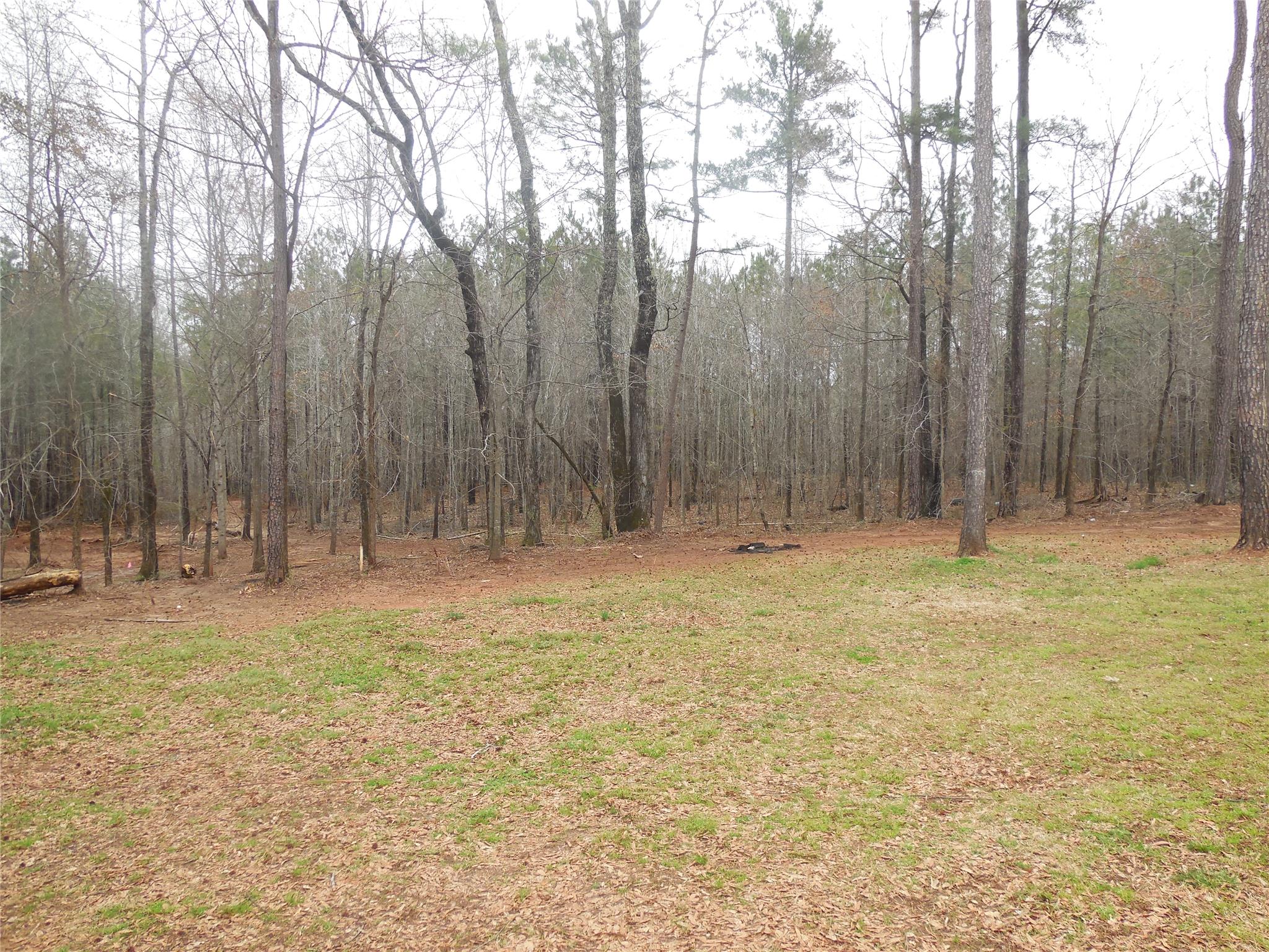 55 Lydia Ct, Covington, GA 30016 photo 2