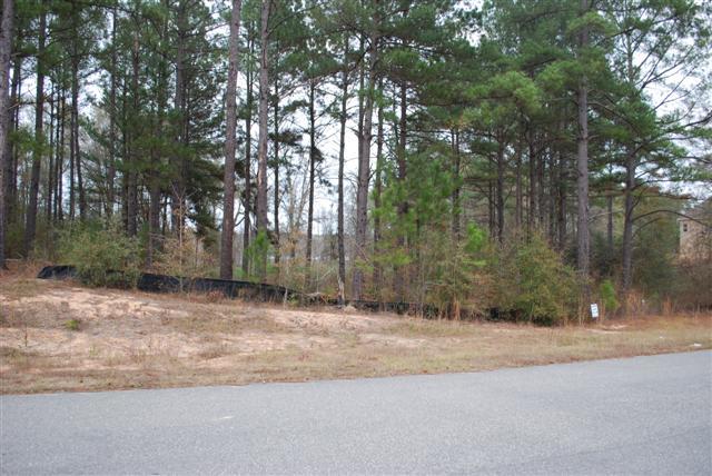 325 Old Windmill Rd, Perry, GA 31069 photo 2