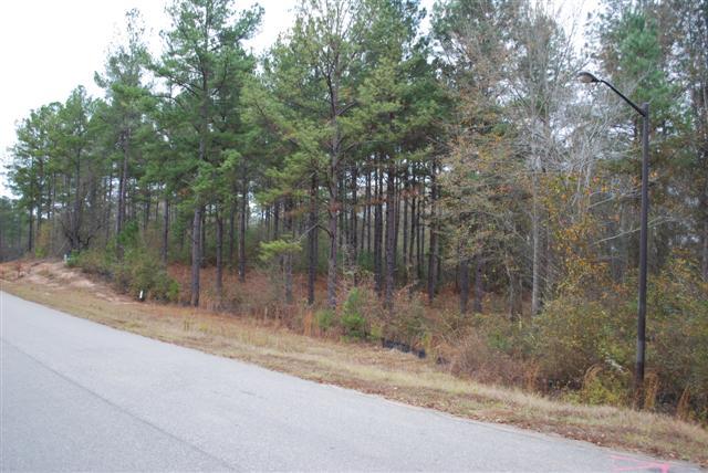 325 Old Windmill Rd, Perry, GA 31069 photo 3