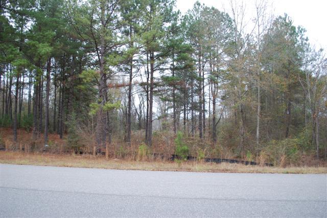 325 Old Windmill Rd, Perry, GA 31069 photo 1