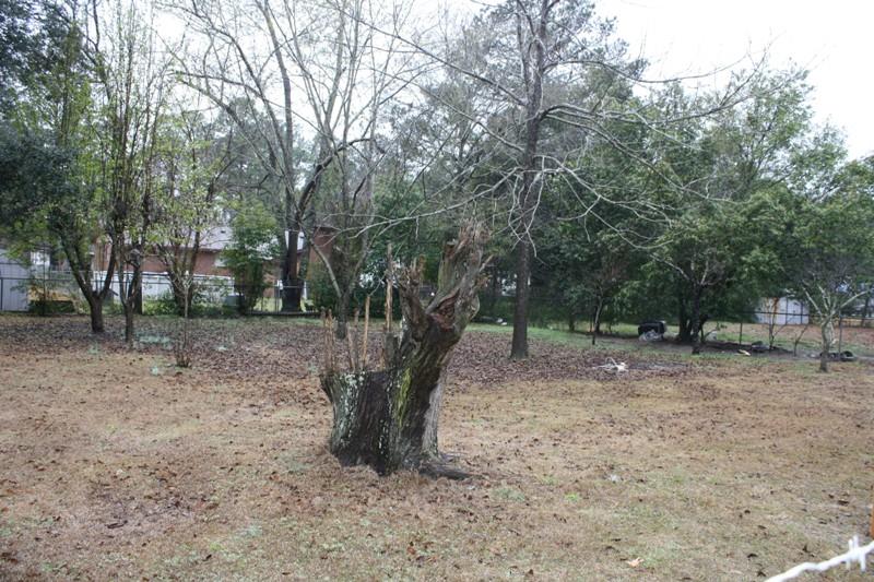 808 Pierce, Dublin, GA 31021 photo 12