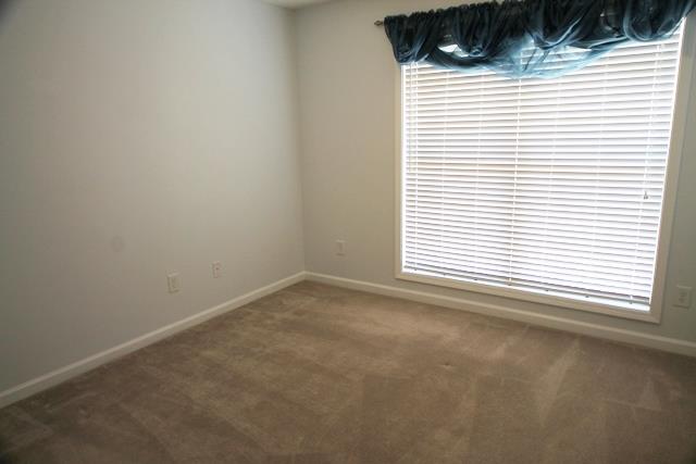 93 Anniston Dr, Athens, GA 30607 photo 15