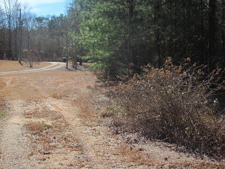 166 Ellistown Rd, Jackson, GA 30233 photo 2