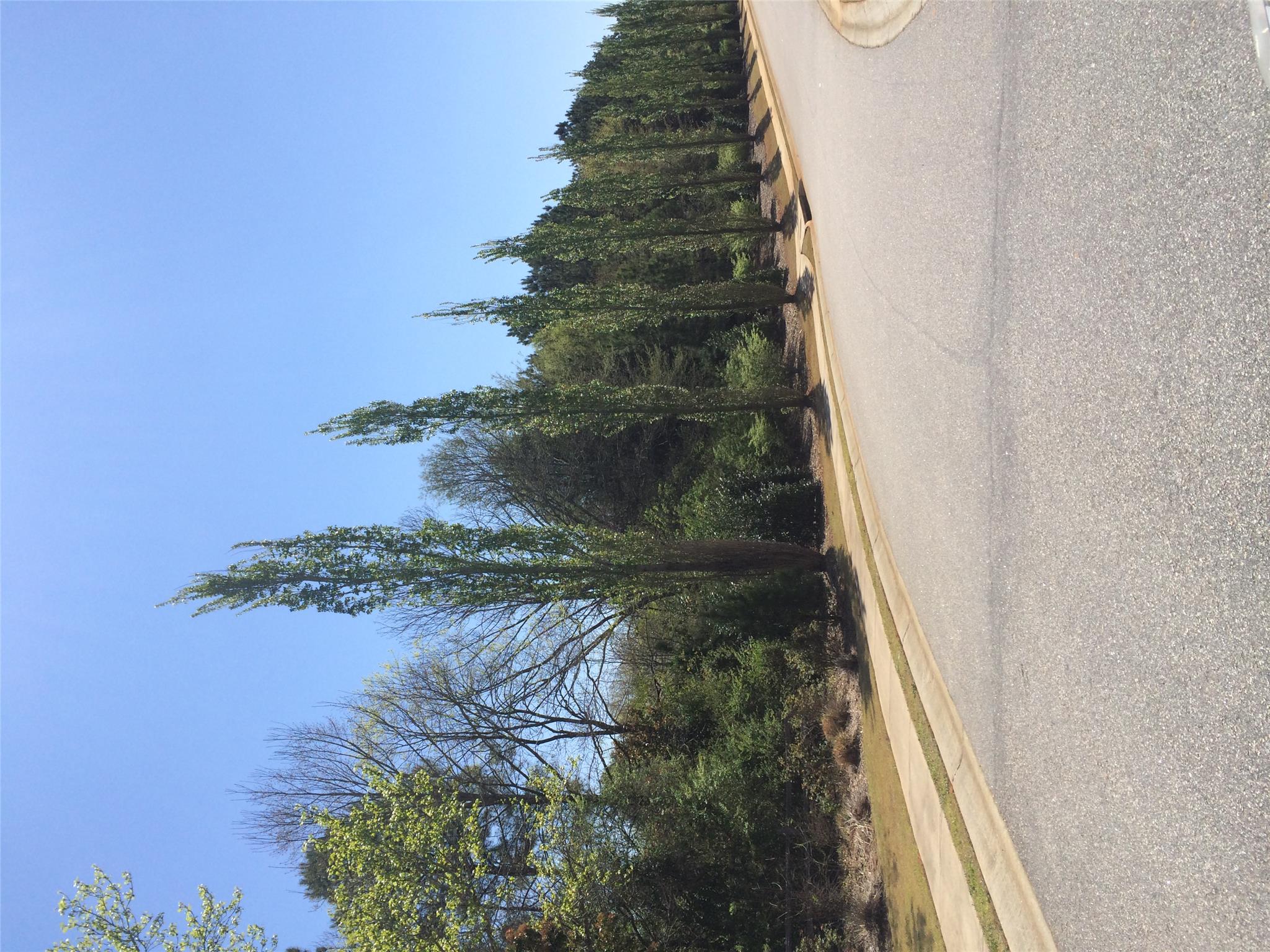 2076 Allens Way, Bishop, GA 30621 photo 5