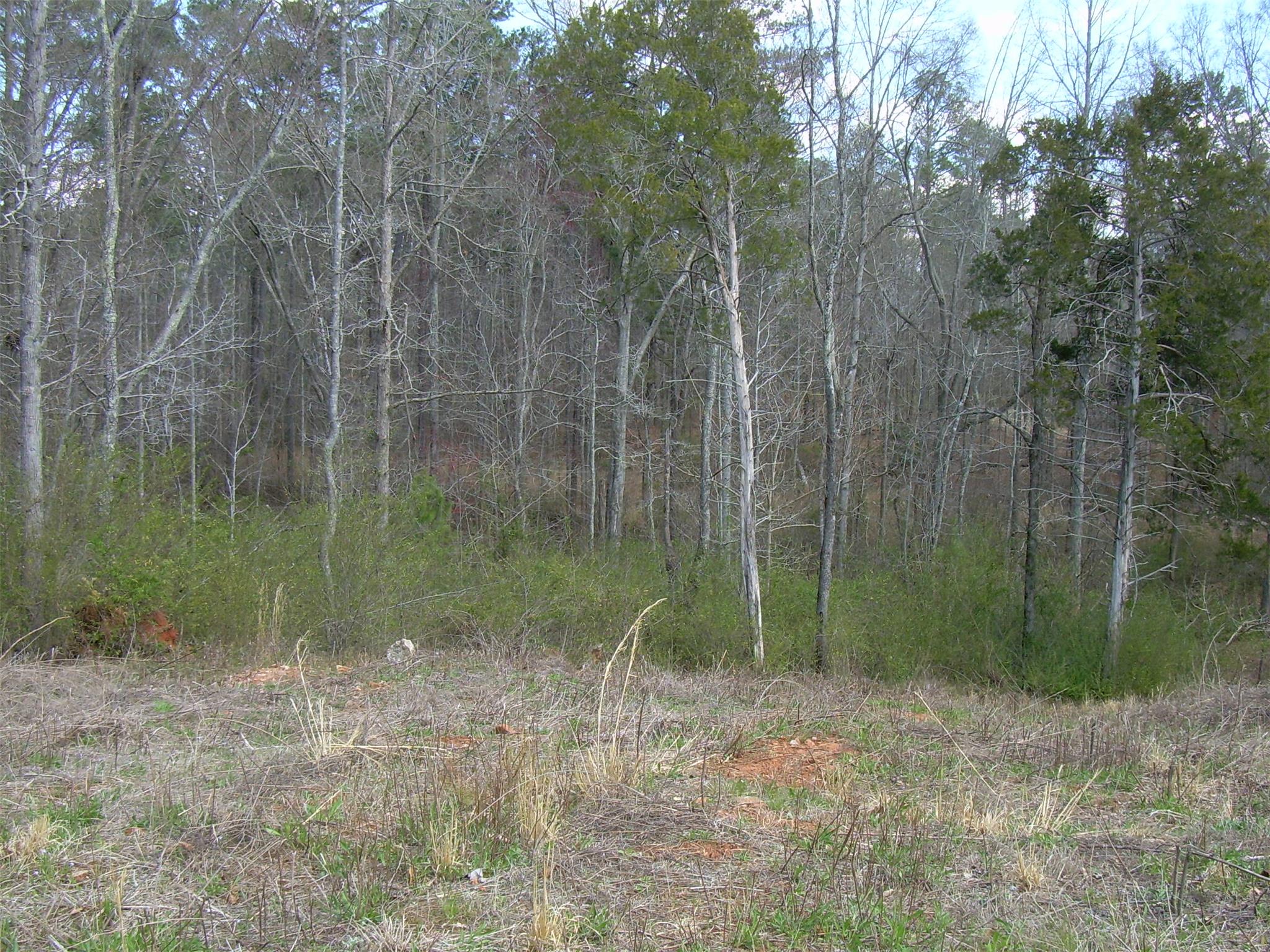 2076 Allens Way, Bishop, GA 30621 photo 2