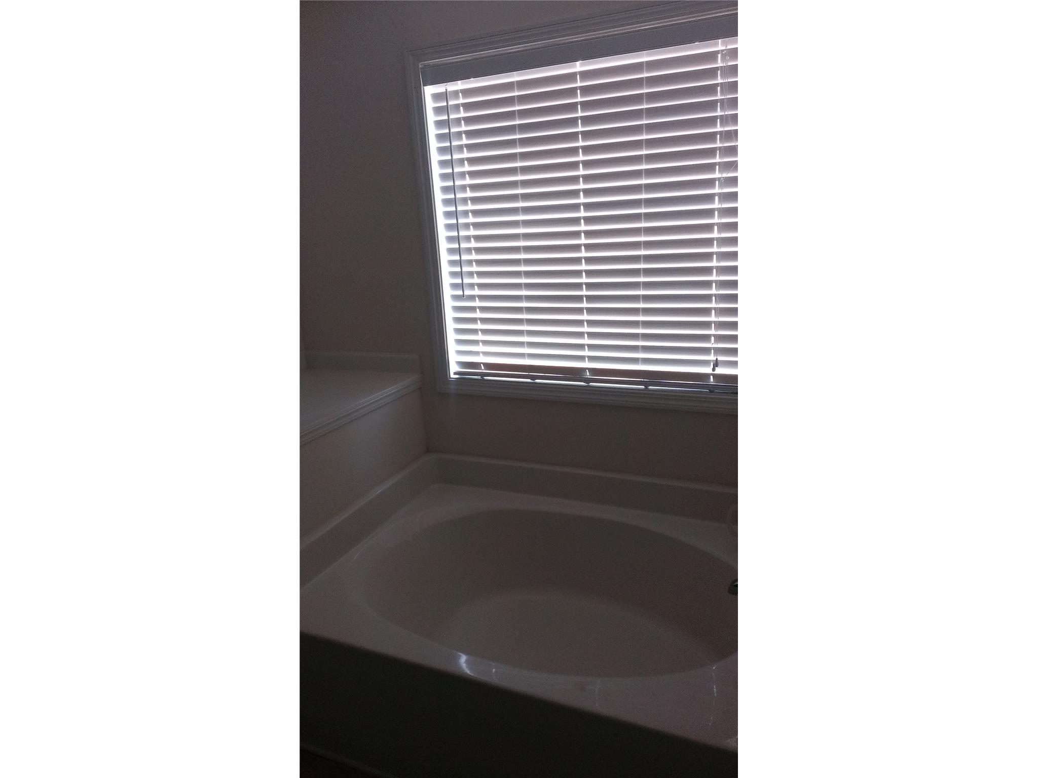 350 Centennial Dr, Bethlehem, GA 30620 photo 3