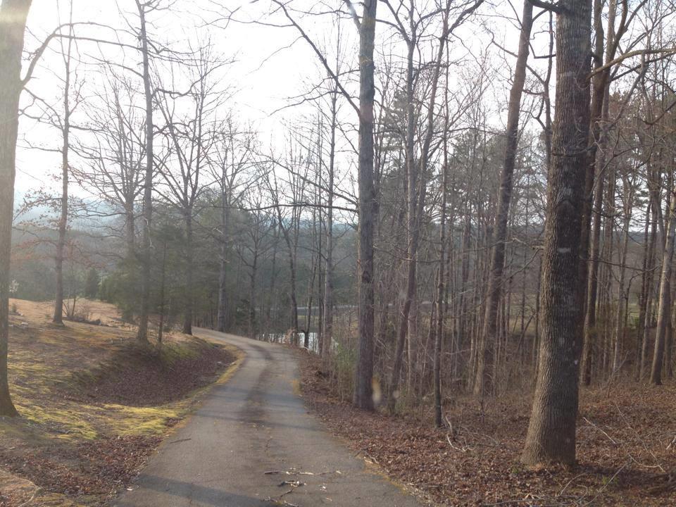 3068 Prather Bridge Rd, Toccoa, GA 30577 photo 8