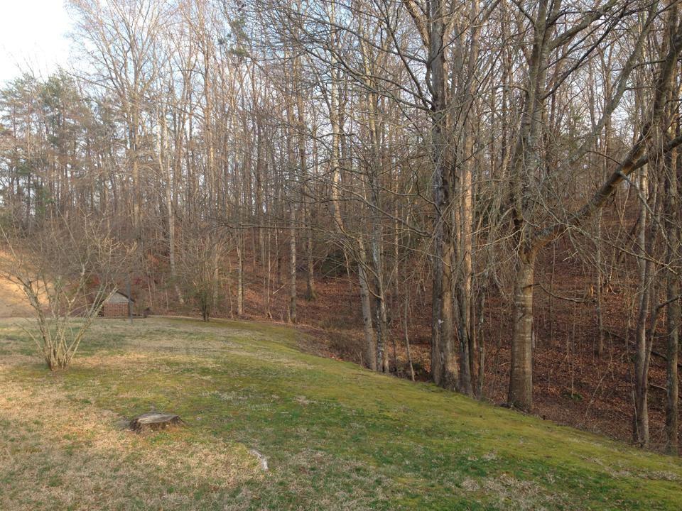 3068 Prather Bridge Rd, Toccoa, GA 30577 photo 11
