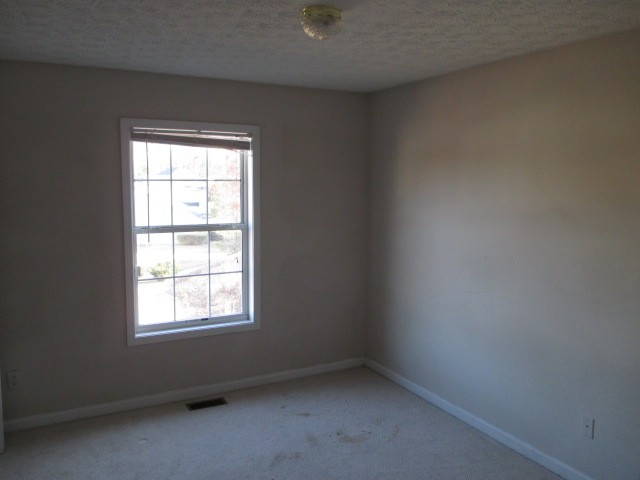 3229 Sharp Creek Ln, Buford, GA 30519 photo 18