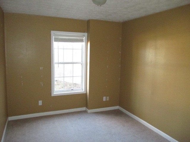 3229 Sharp Creek Ln, Buford, GA 30519 photo 22