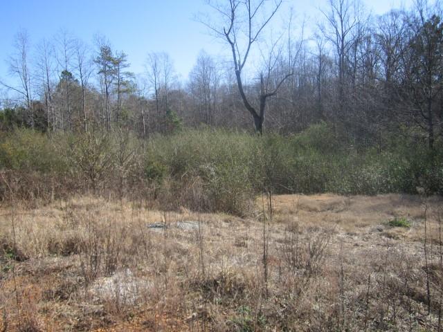 3930 Belmont Hwy, Talmo, GA 30575 photo 3