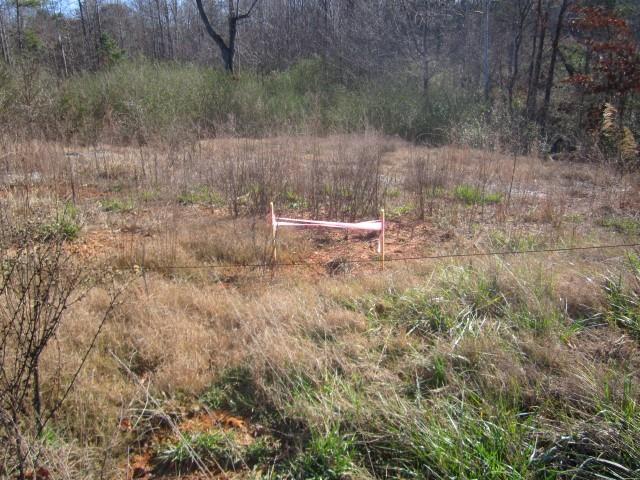 3930 Belmont Hwy, Talmo, GA 30575 photo 13